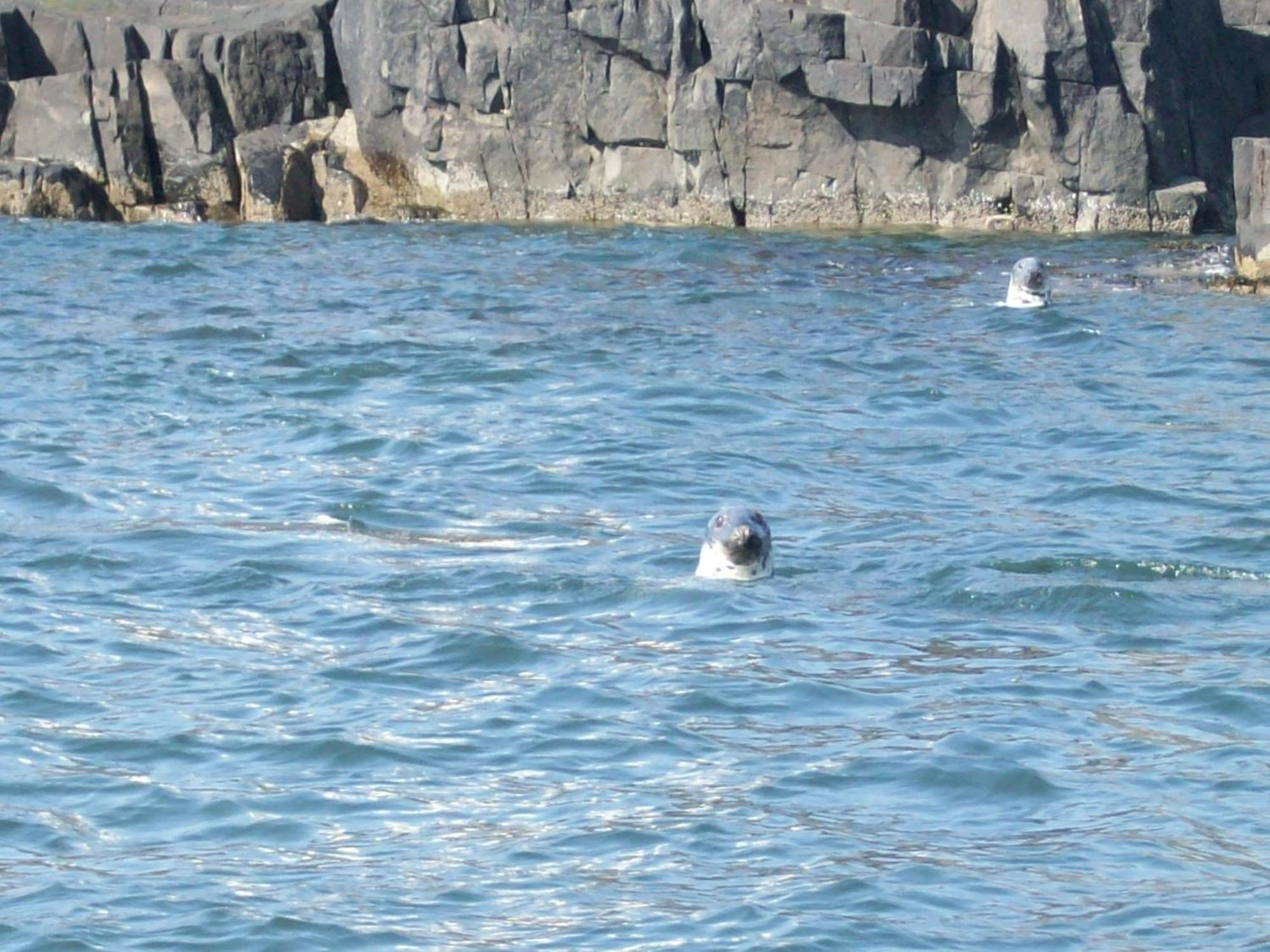 Appartamento Seagull'S Rest Crail Esterno foto